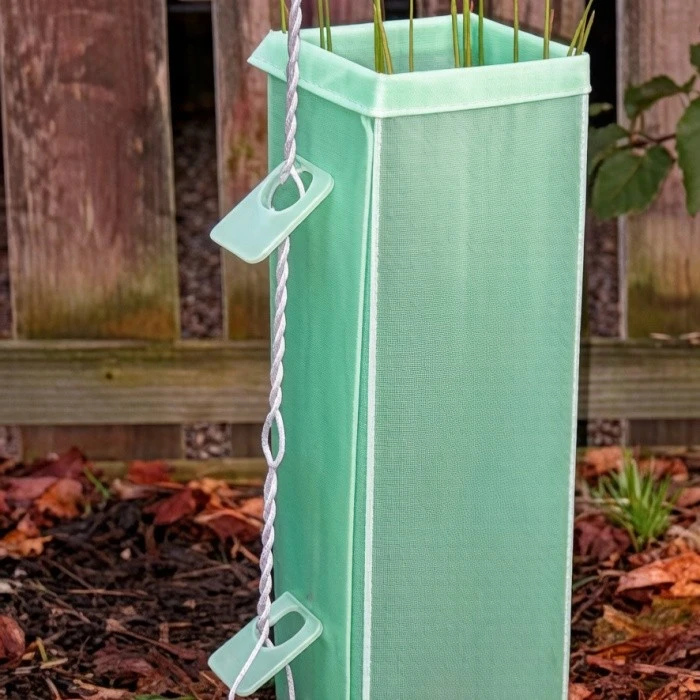 vine shelter1