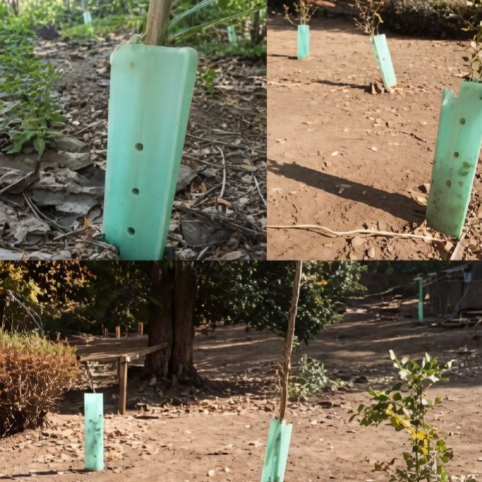 Plastic Tree Protector