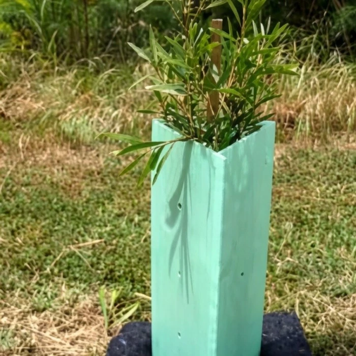 Plastic Tree Shelter 2